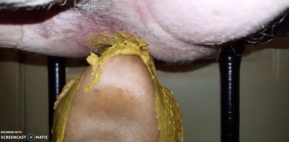 Males Diarrhea - Great Shitting on the Face 2
